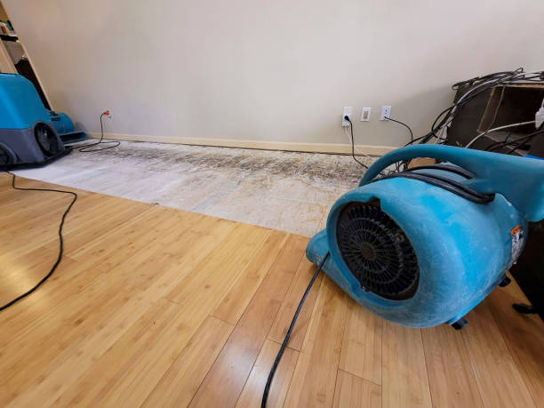 Professional Sewage Cleanup technician working in Athens, NY